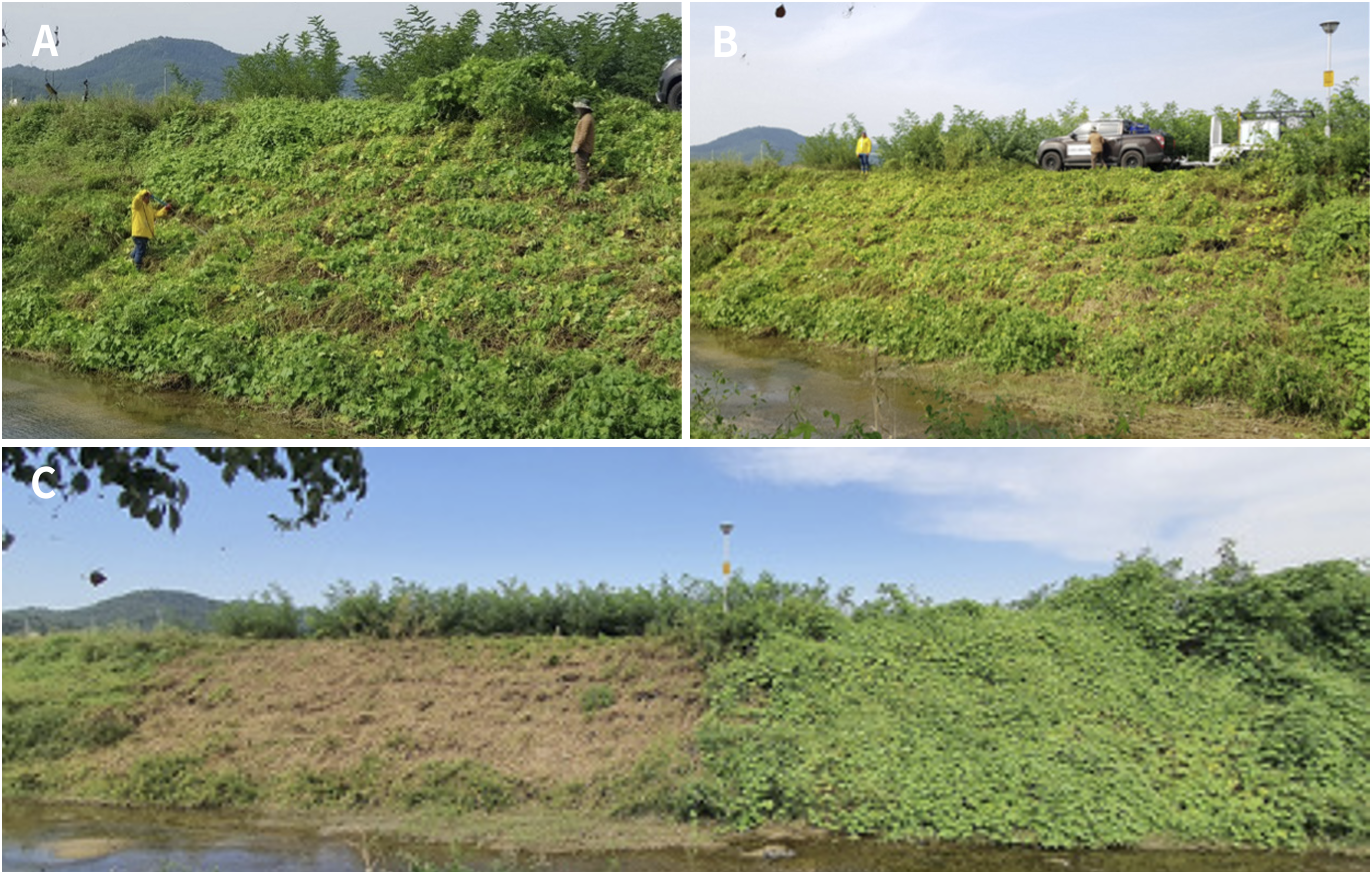 http://dam.zipot.com:8080/sites/WTS/images/N0260120305/N0260120305-f3.png