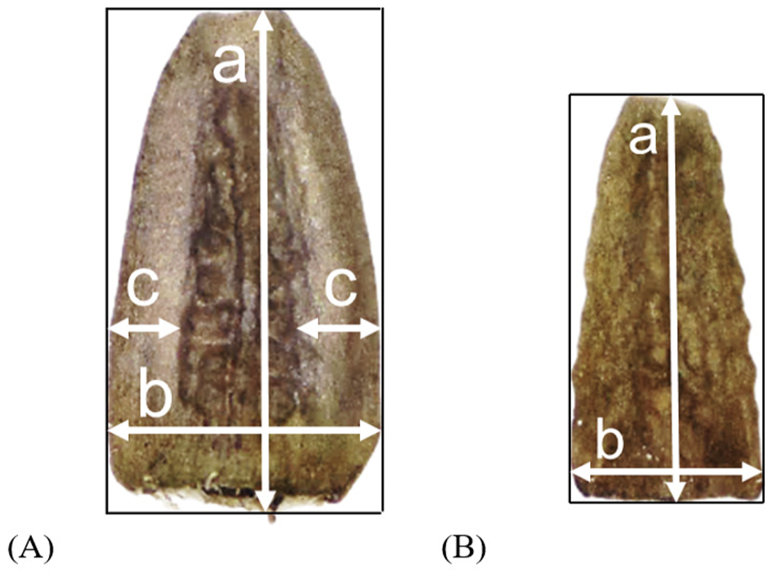 http://dam.zipot.com:8080/sites/WTS/images/N0260130202/N0260130202-f1.png