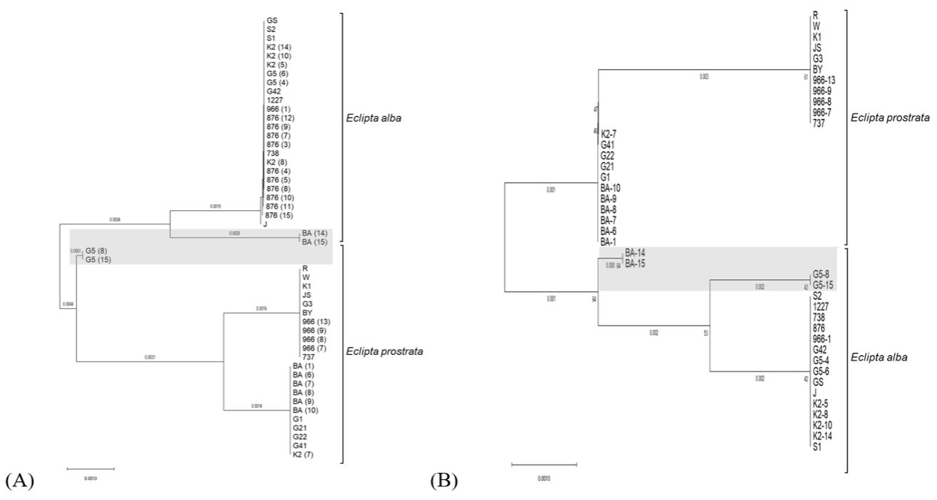 http://dam.zipot.com:8080/sites/WTS/images/N0260130202/N0260130202-f3.png