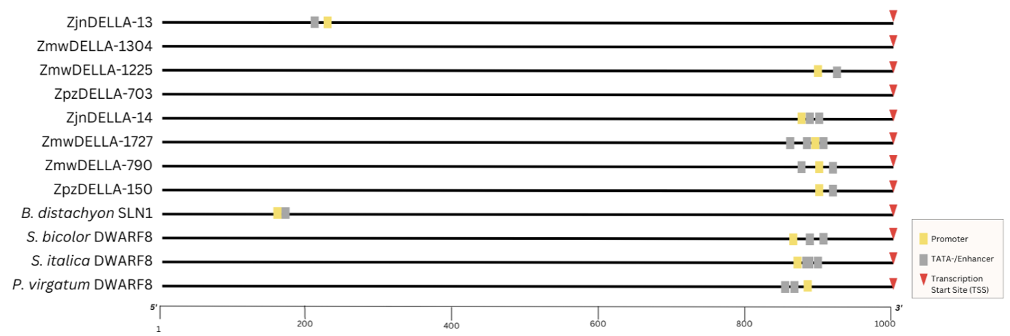 http://dam.zipot.com:8080/sites/WTS/images/N0260130203/N0260130203-f3.png