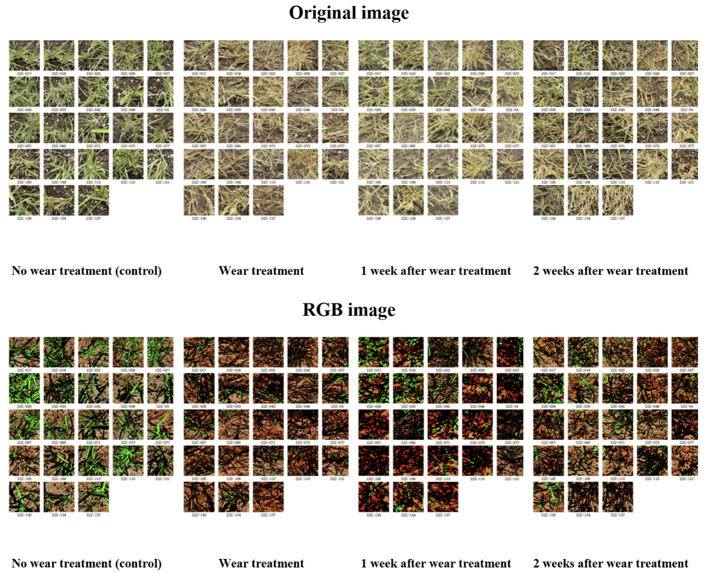 http://dam.zipot.com:8080/sites/WTS/images/N0260130402/N0260130402-f3.png