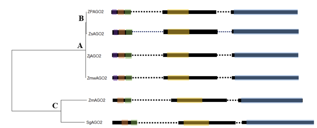 http://dam.zipot.com:8080/sites/WTS/images/N0260130408/N0260130408-f1.png