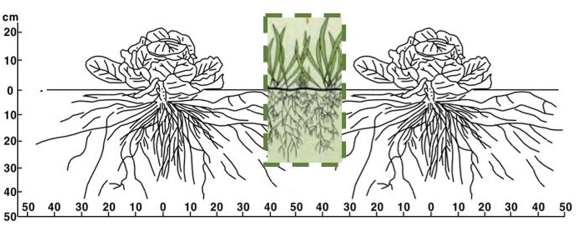 http://dam.zipot.com:8080/sites/WTS/images/N0260130412/N0260130412-f1.png
