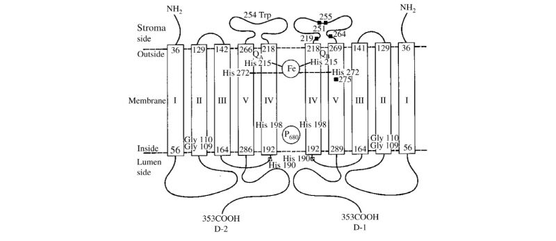 http://dam.zipot.com:8080/sites/kjoas/files/N0030430401_image/Figure_KJAOS_44_01_01_F6.jpg