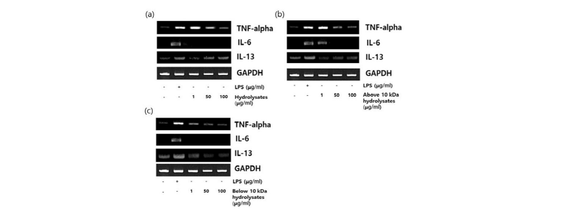 http://dam.zipot.com:8080/sites/kjoas/files/N0030450311_image/Figure_KJAOS_45_03_11_F5.jpg