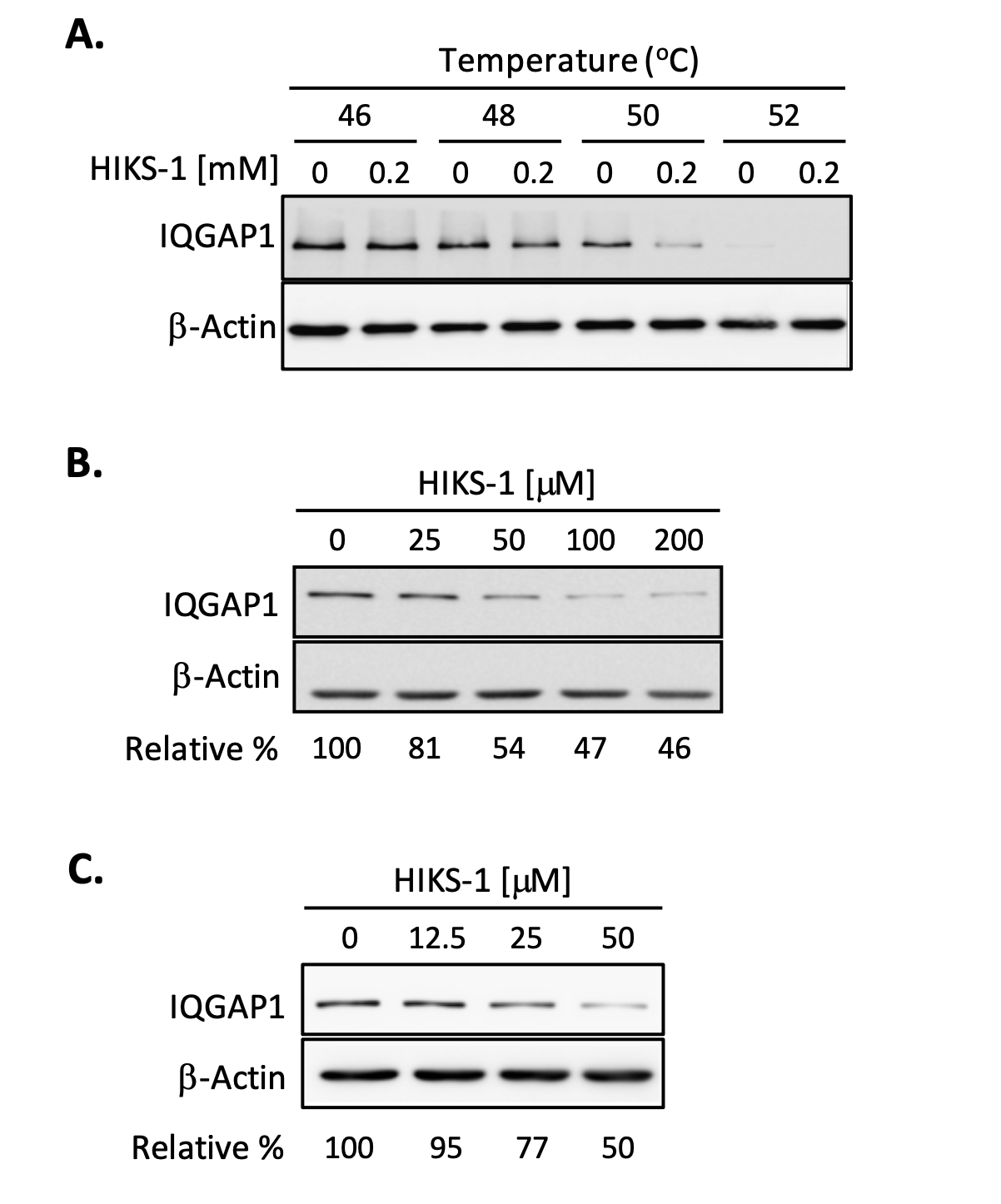 protein scaffold inhibition