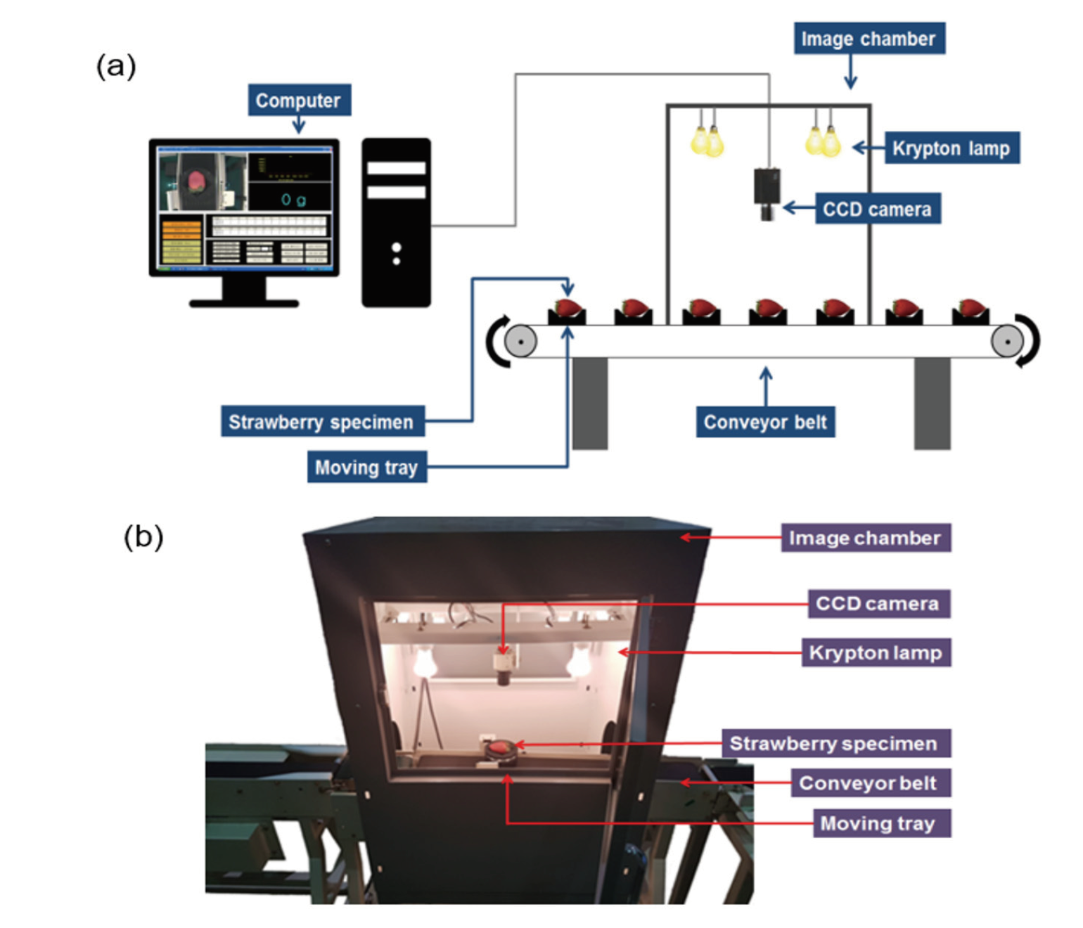 http://dam.zipot.com:8080/sites/kjoas/images/N0030470405_image/Figure_KJOAS_47_04_05_F2.png