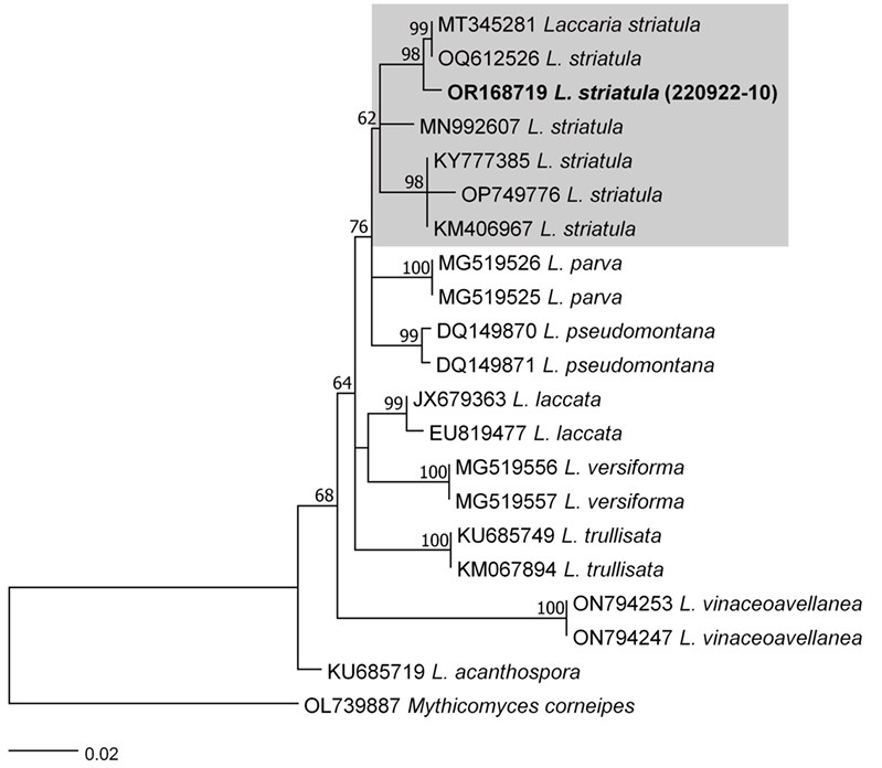 N0320510302-f1.png