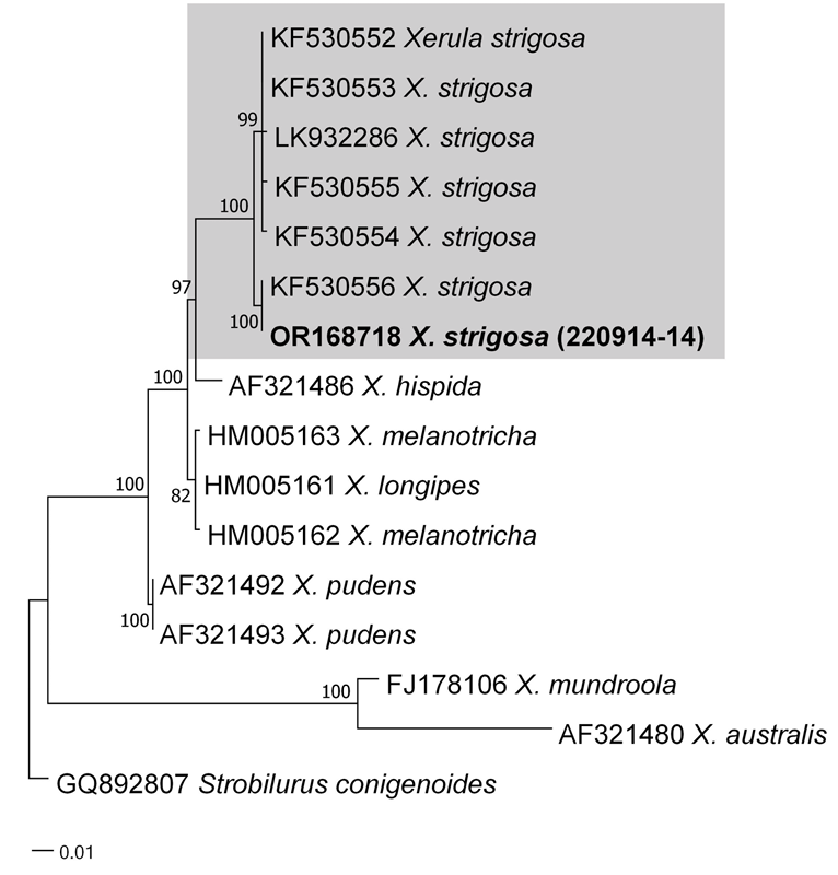 N0320510302-f4.png