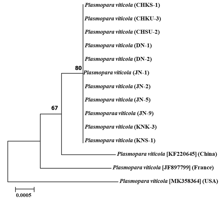 N0320510303-f2.png
