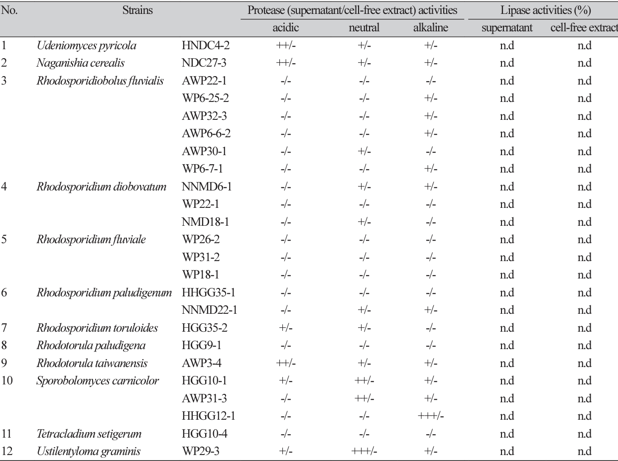 N0320510305-t5.png