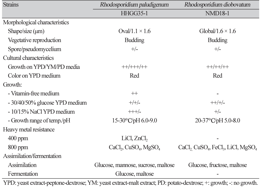 N0320510305-t6.png