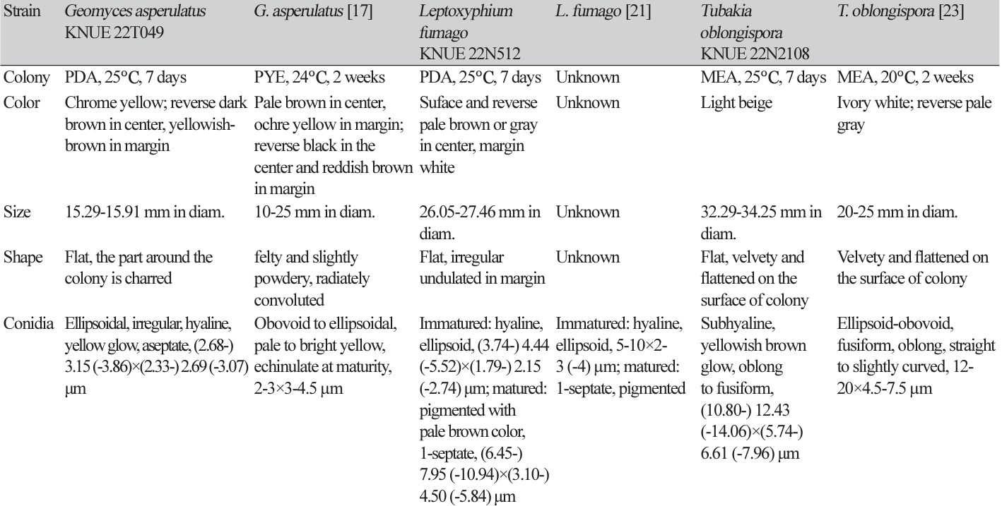 N0320510307-t1.png
