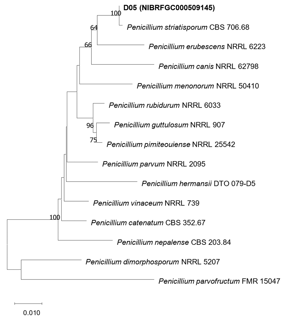 N0320510310-f2.png