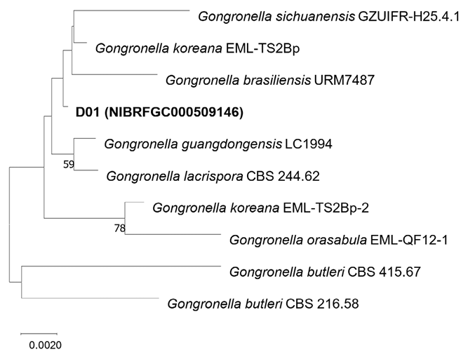 N0320510310-f4.png