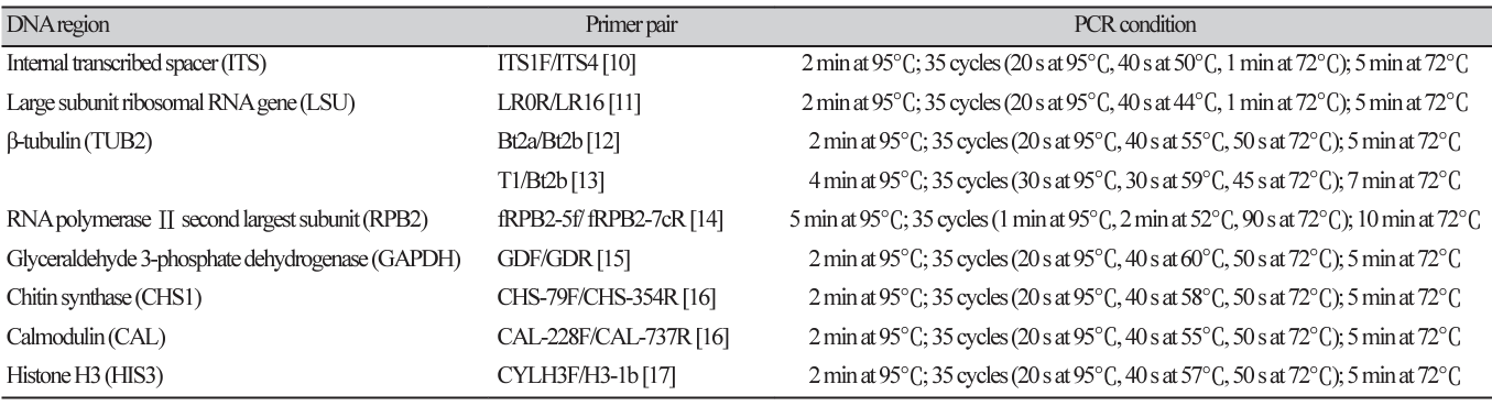 N0320510407-t1.png