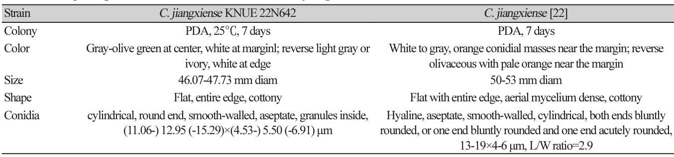 N0320510407-t3.png