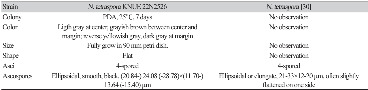 N0320510407-t6.png