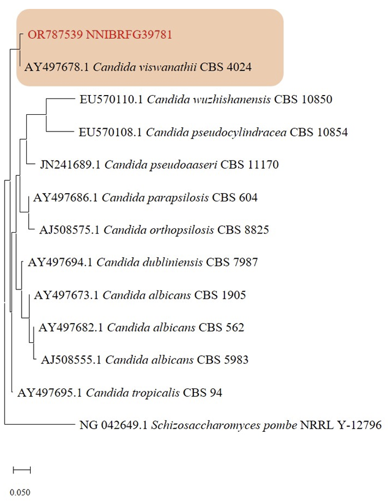 N0320510408-f1.png