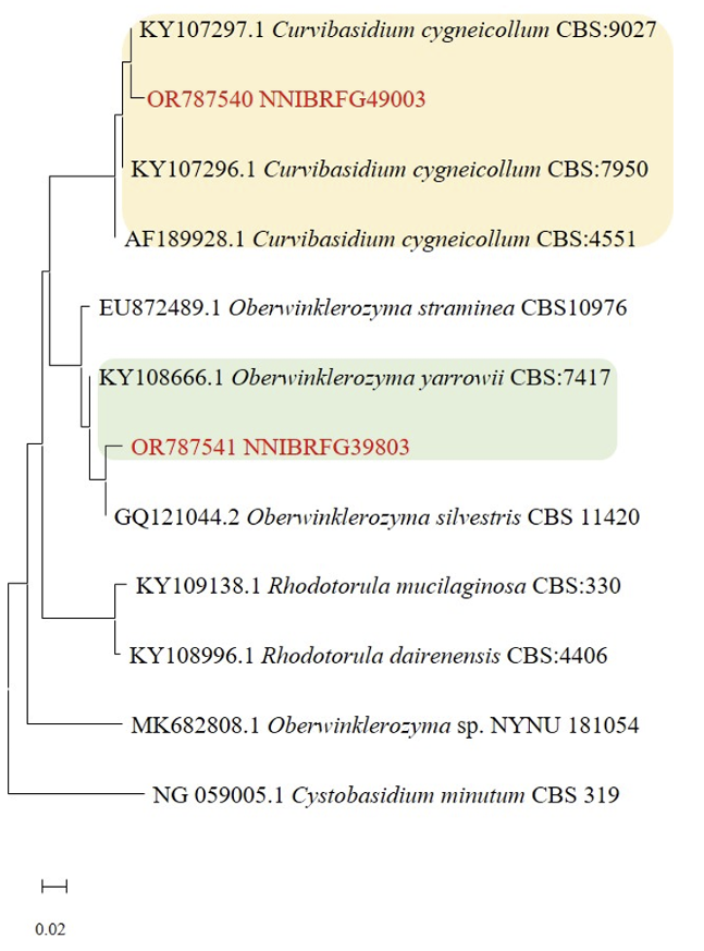 N0320510408-f4.png