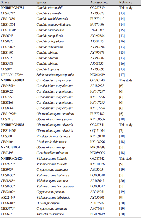 N0320510408-t2.png