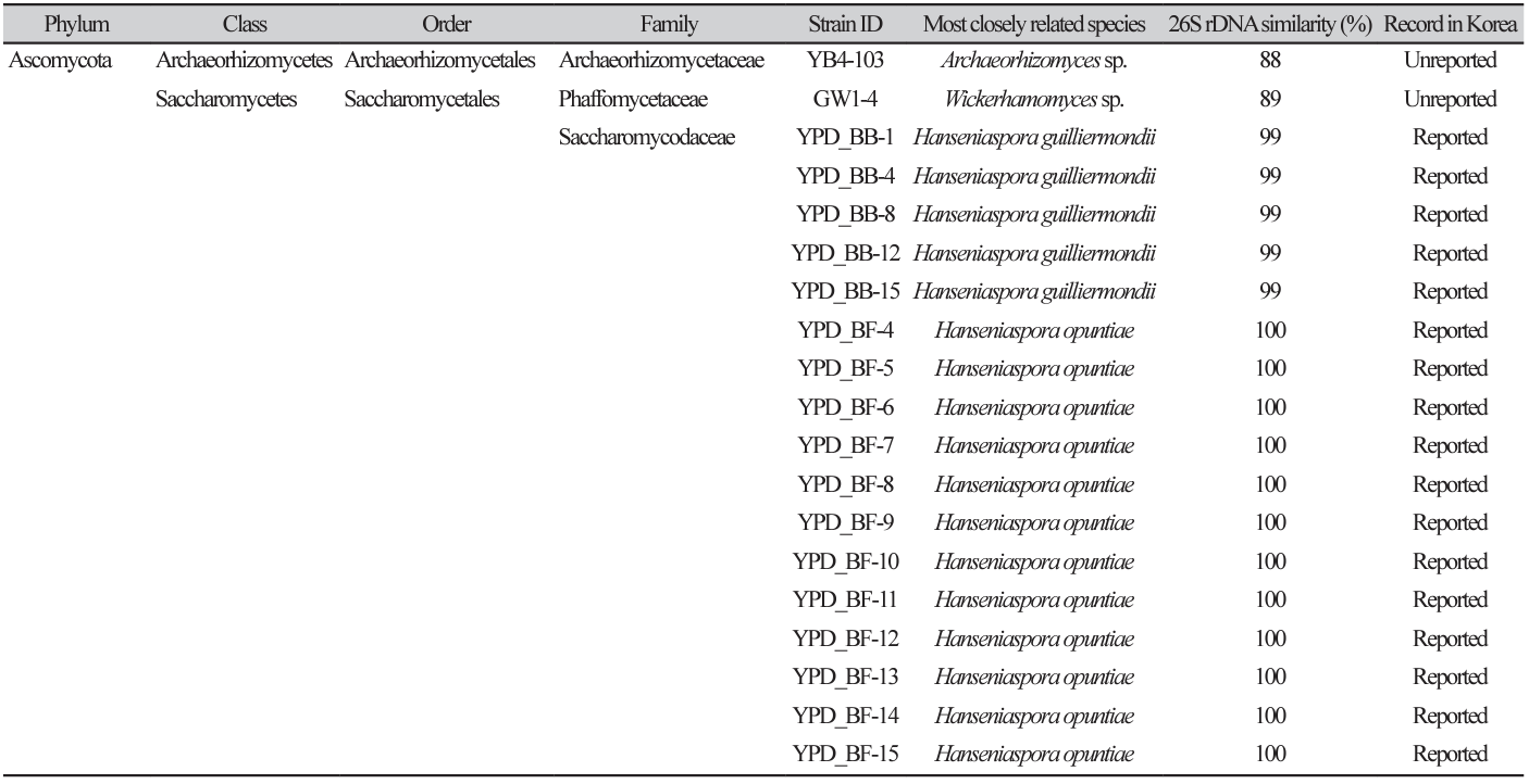 N0320510409-t1.png