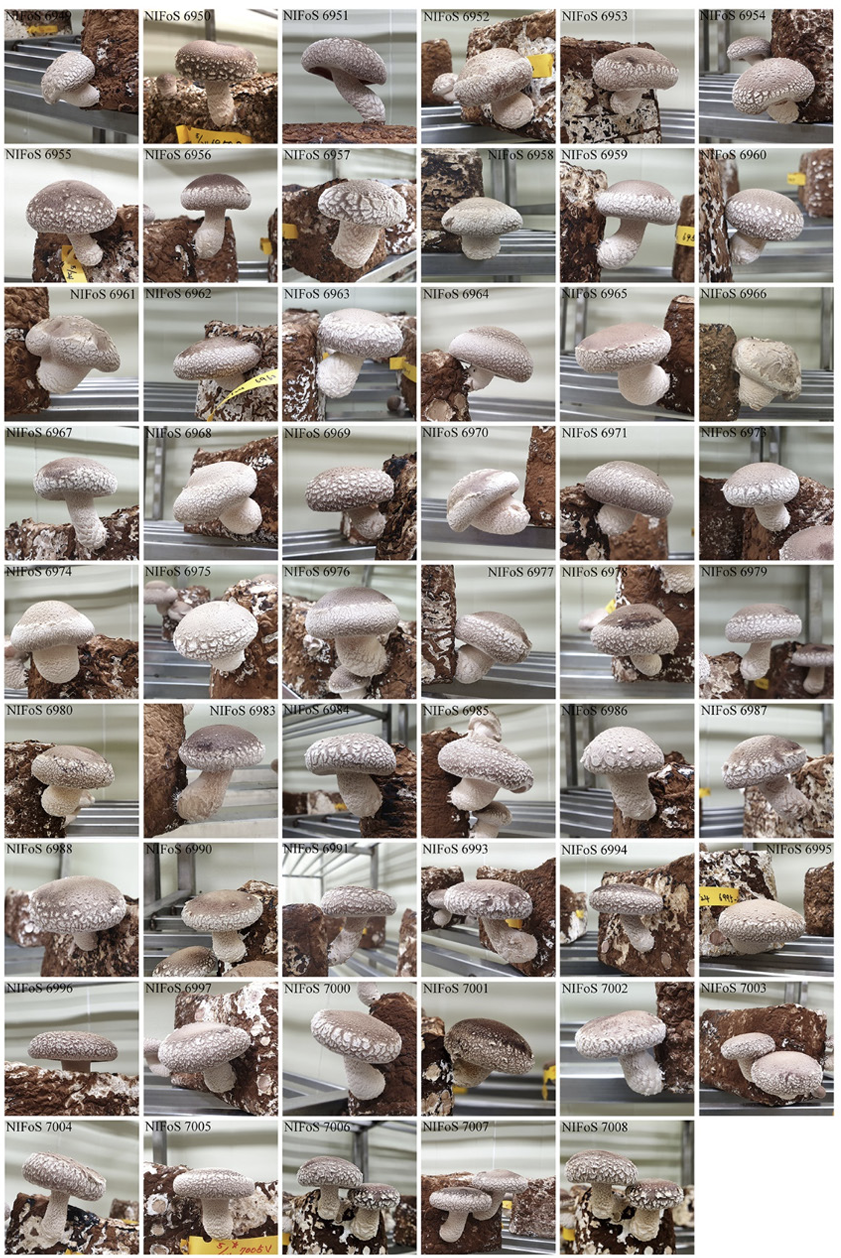 N0320510412-f1.png