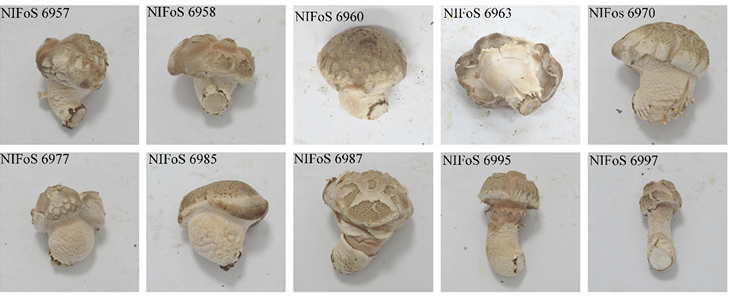 N0320510412-f2.png