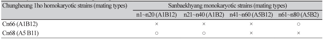 N0320510412-t1.png
