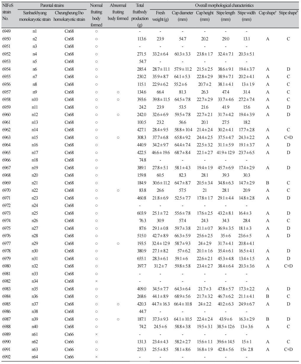 N0320510412-t2-1.png