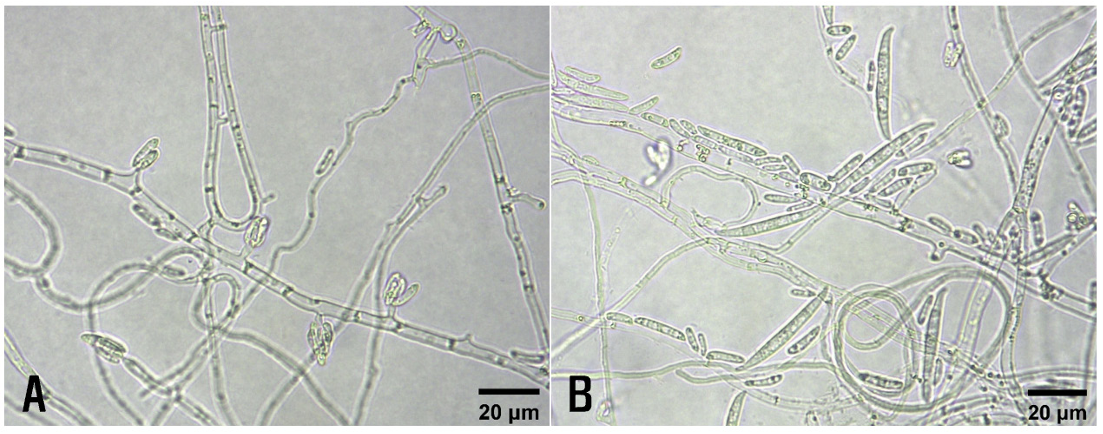 N0320510413-f2.png