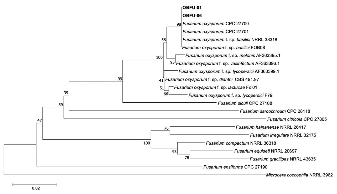 N0320510413-f3.png