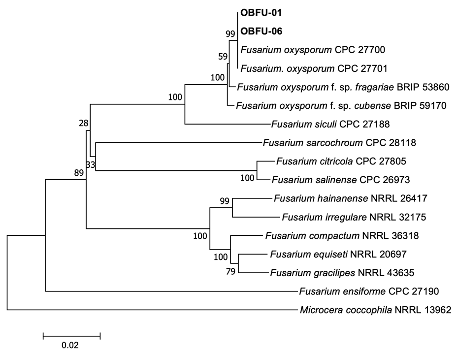 N0320510413-f4.png
