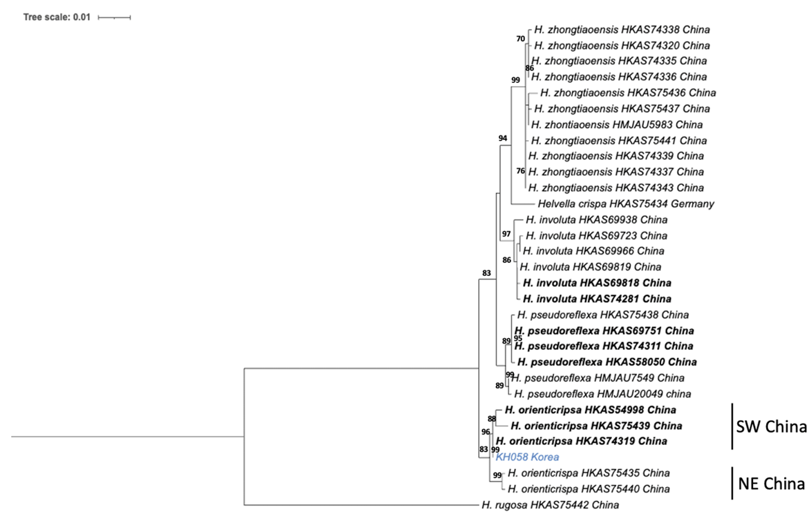 N0320510415-f1.png