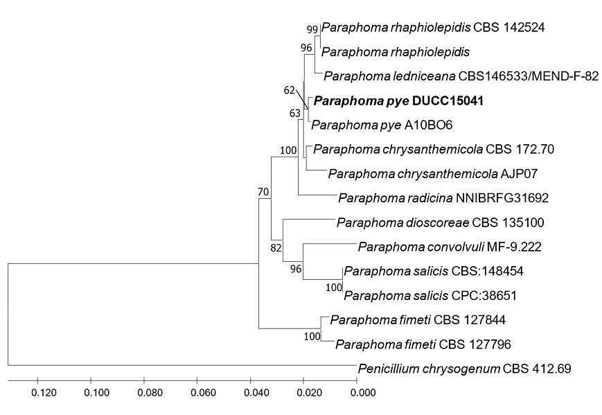 N0320510419-f7.png