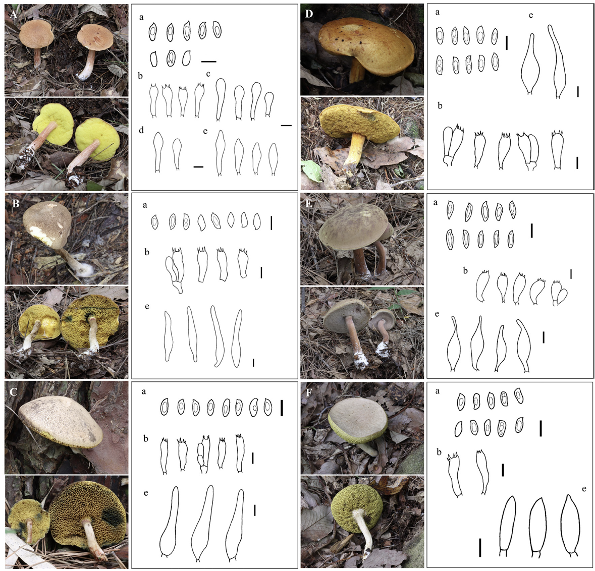 N0320510420-f1.png