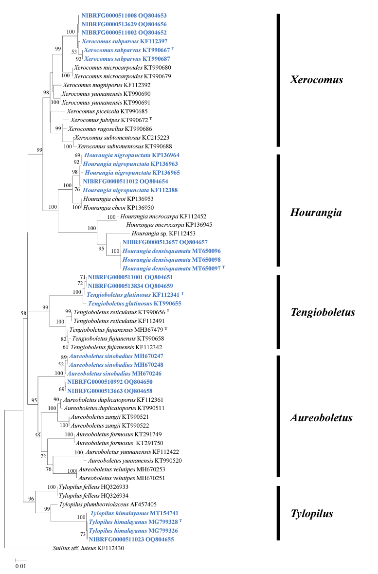 N0320510420-f2.png
