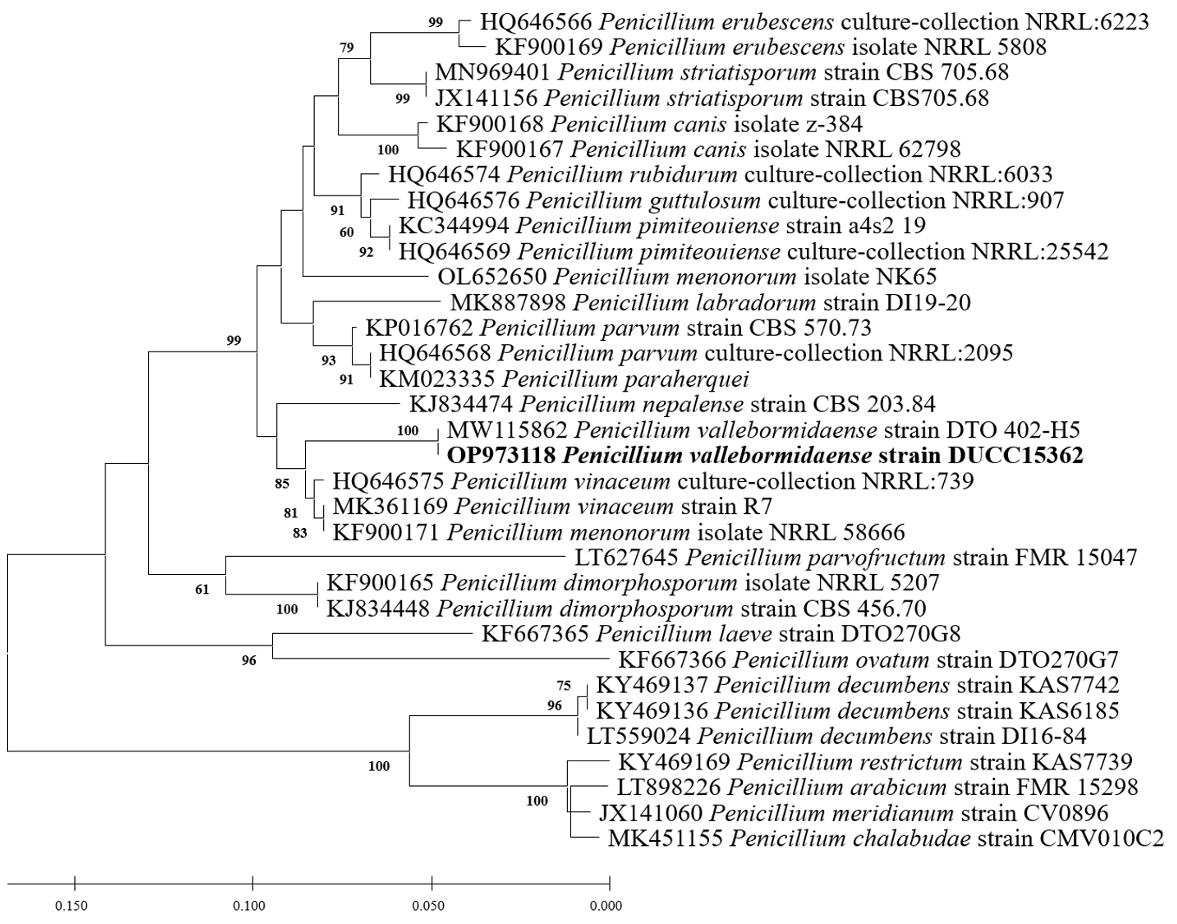 N0320510421-f12.png