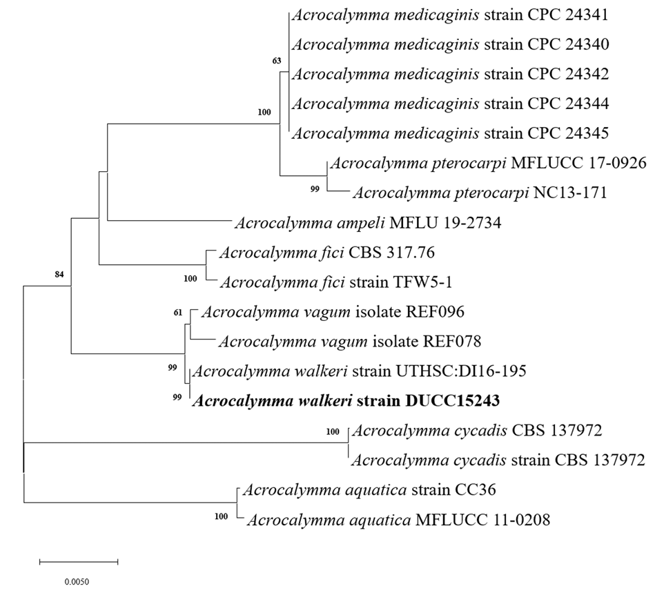 N0320510421-f2.png