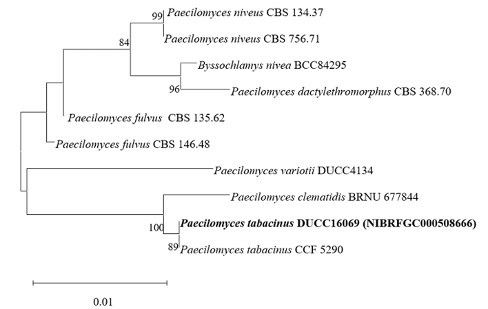N0320510422-f10.png