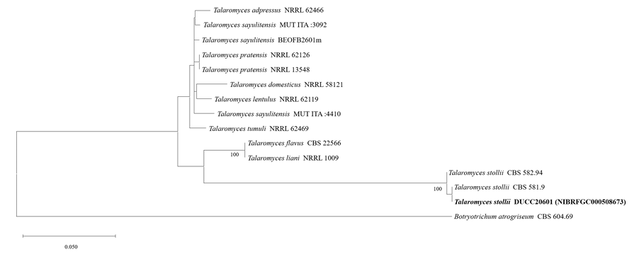 N0320510422-f14.png