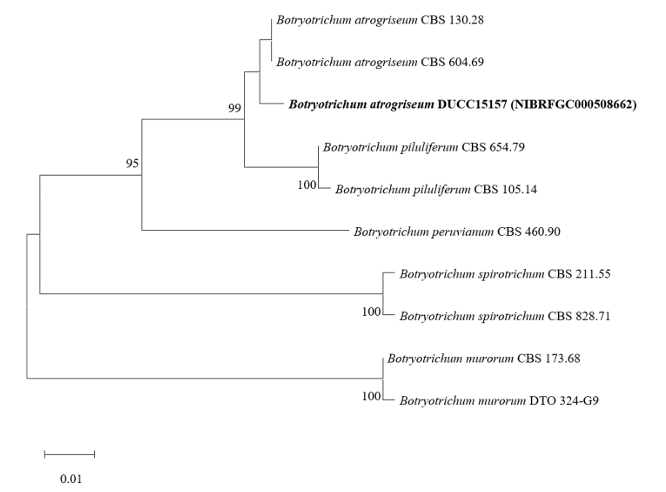 N0320510422-f4.png