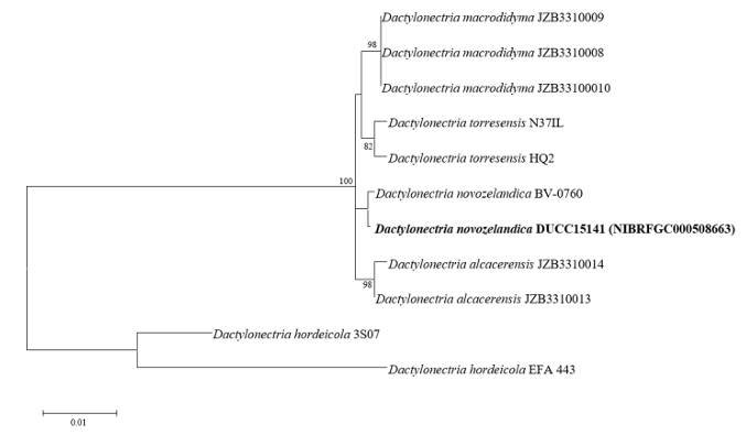 N0320510422-f6.png