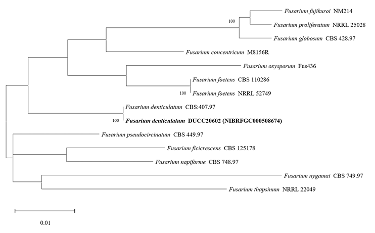 N0320510422-f8.png