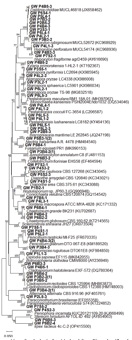 N0320510424-f1.png